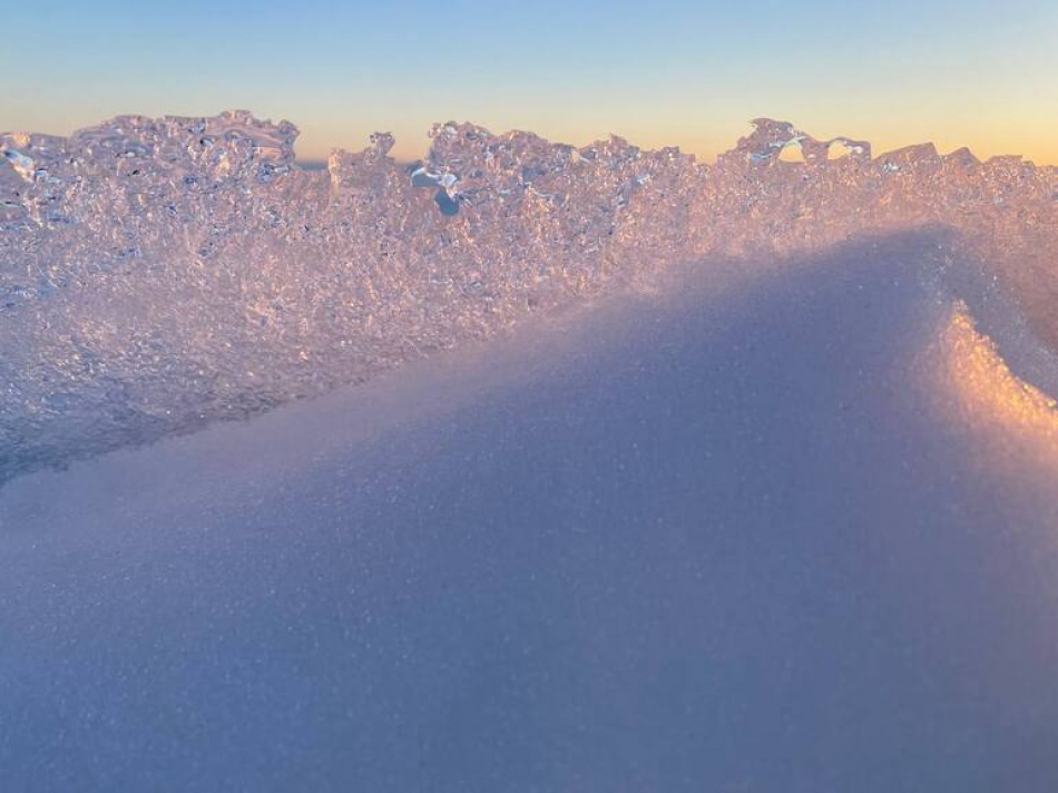 В РГПУ им. Герцена стартовал кластер для изучения Арктики